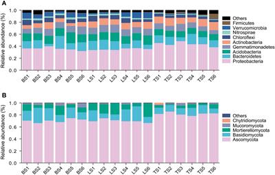 Microdiversity sustains the distribution of rhizosphere-associated bacterial species from the root surface to the bulk soil region in maize crop fields